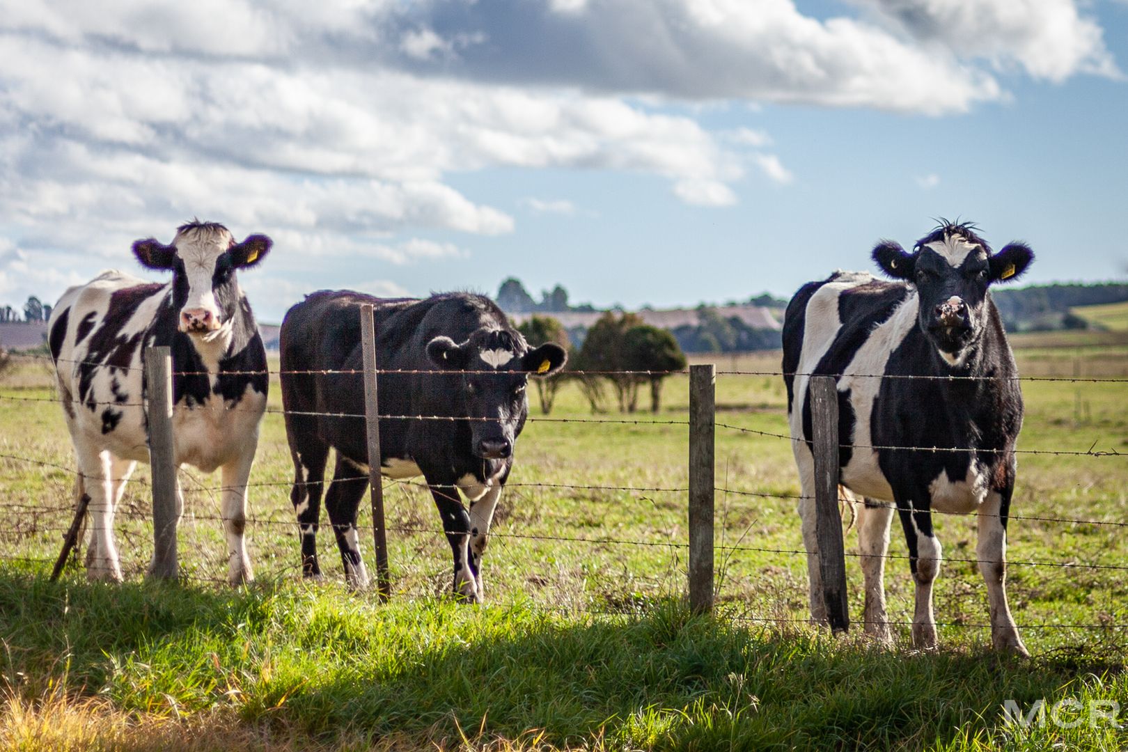 10 Squeaking Point Road, Thirlstane TAS 7307, Image 1