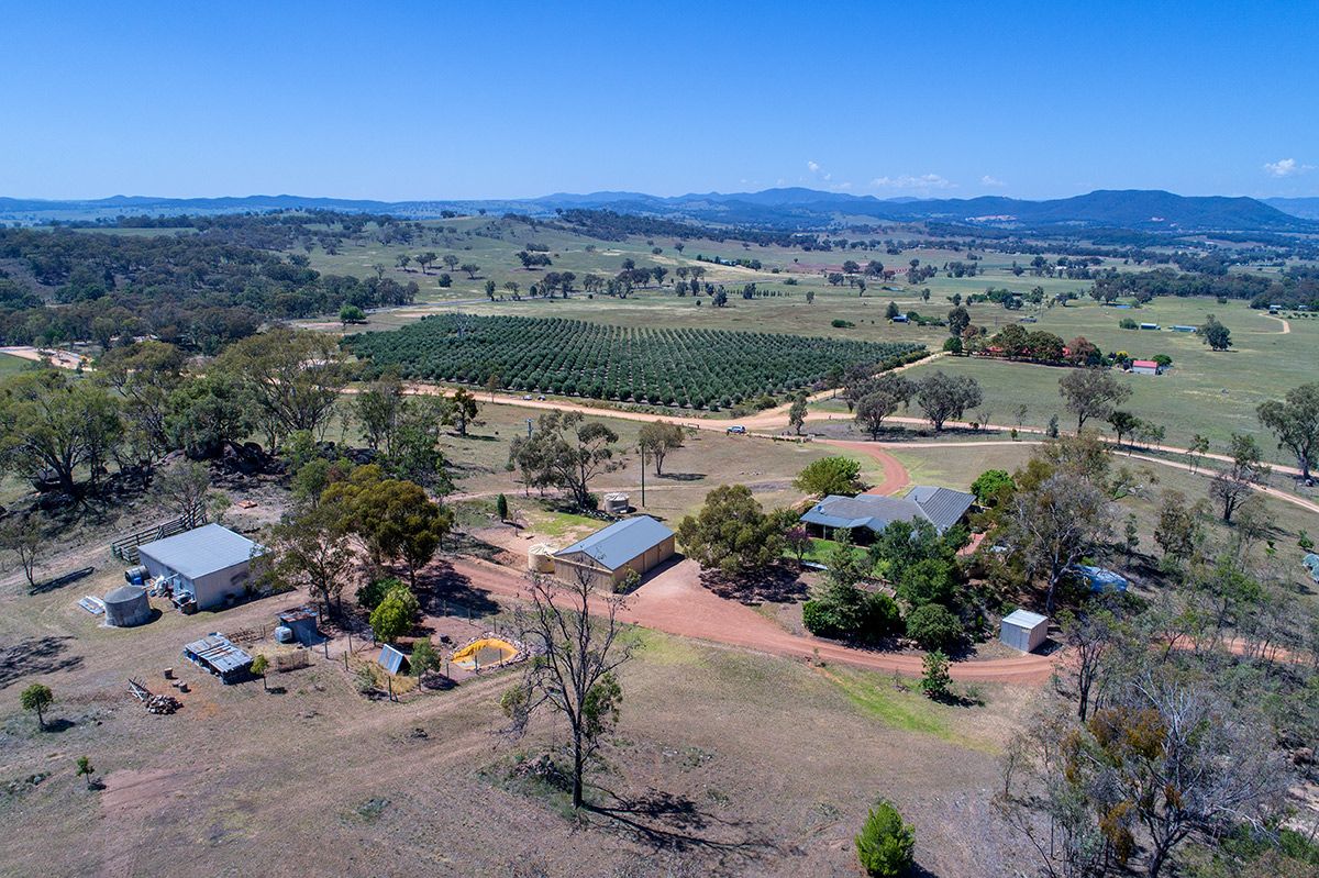 42 Spring View Lane, Budgee Budgee NSW 2850