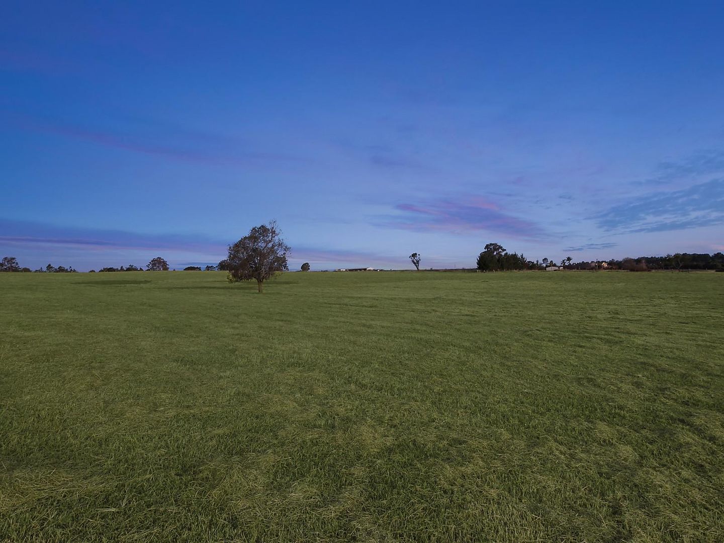 Montpelier Grove Estate, The Oaks NSW 2570, Image 2