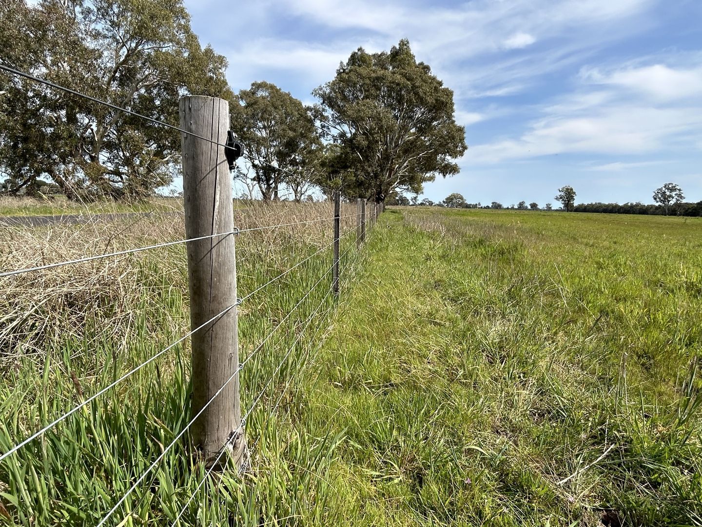 7884 Casterton - Apsley Rd, Apsley VIC 3319, Image 2