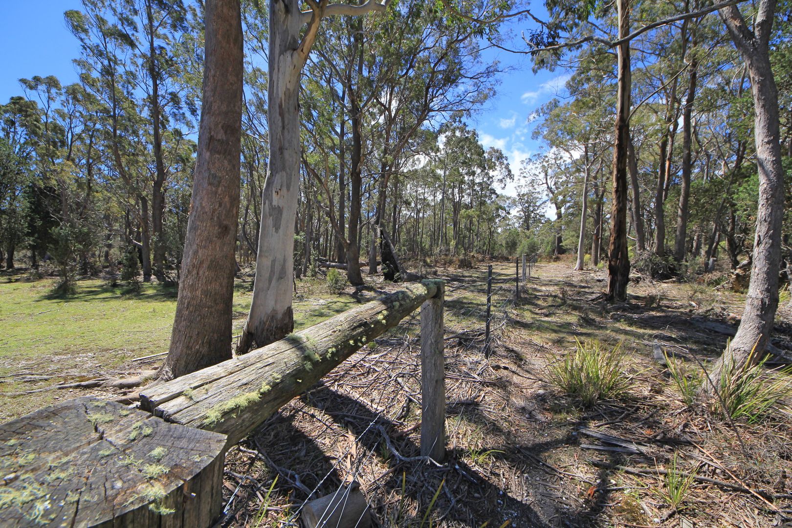 Lot 1 Elephant Pass Road, St Marys TAS 7215, Image 1