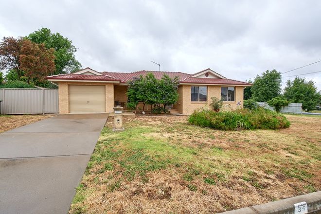 Picture of 35 Pitt Street, JUNEE NSW 2663