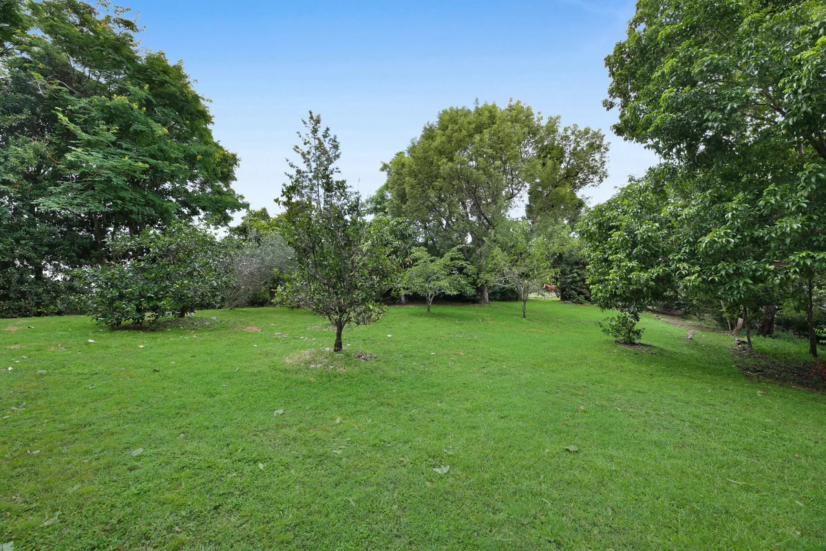 Image 25