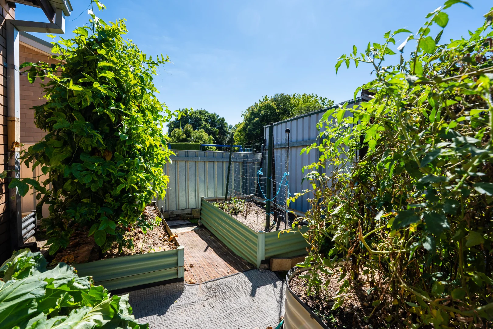 Additional image 13 of 572 Ryan Road, North Albury NSW 2640