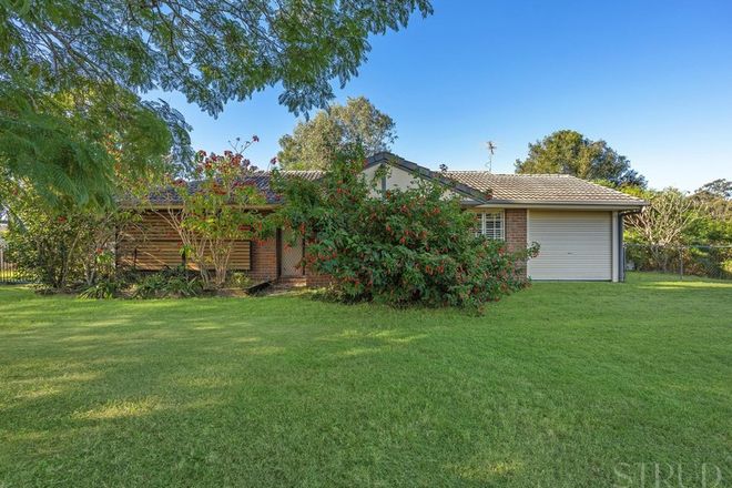 Picture of 11 Burns Street, FERNVALE QLD 4306