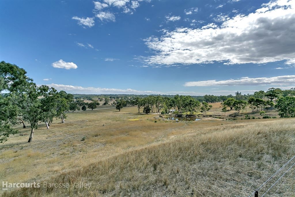 407 Craneford Road, Flaxman Valley SA 5235, Image 0