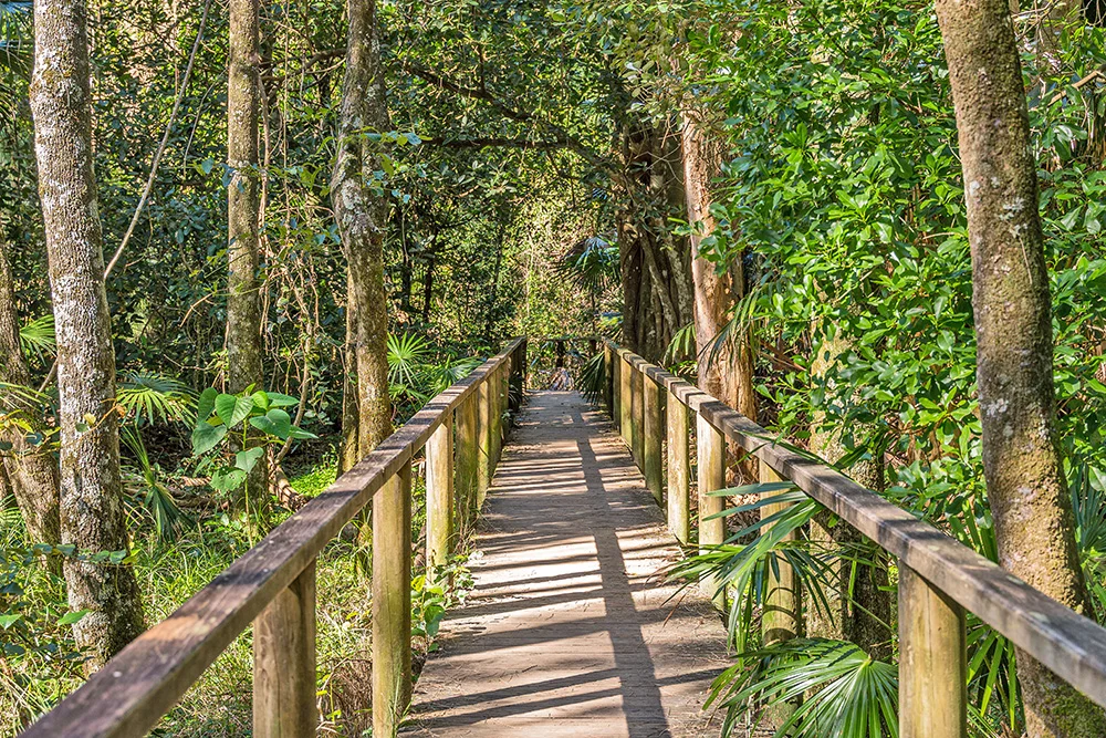 Additional image 76 of 3419 The Lakesway, Tarbuck Bay NSW 2428