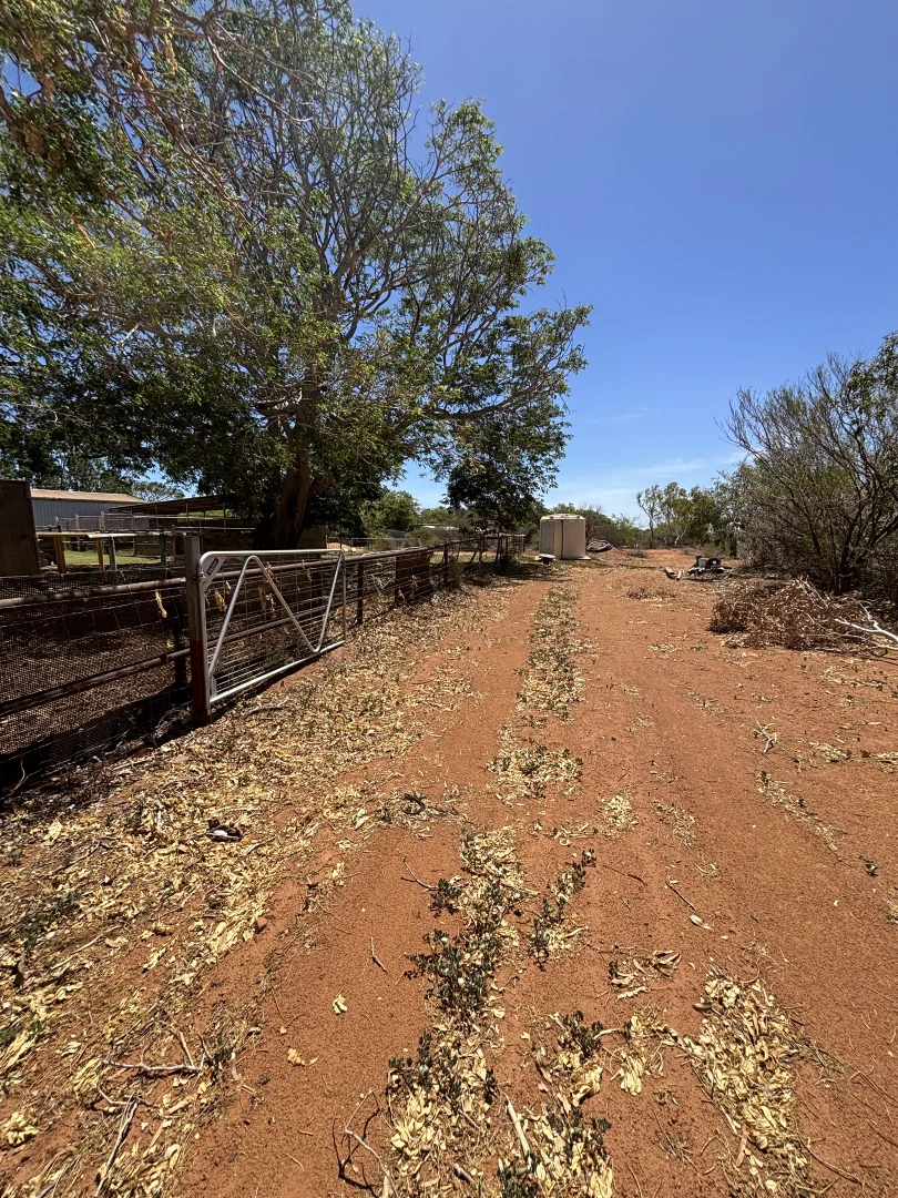 Additional image 8 of 147 Boor Street, Kingsford WA 6701