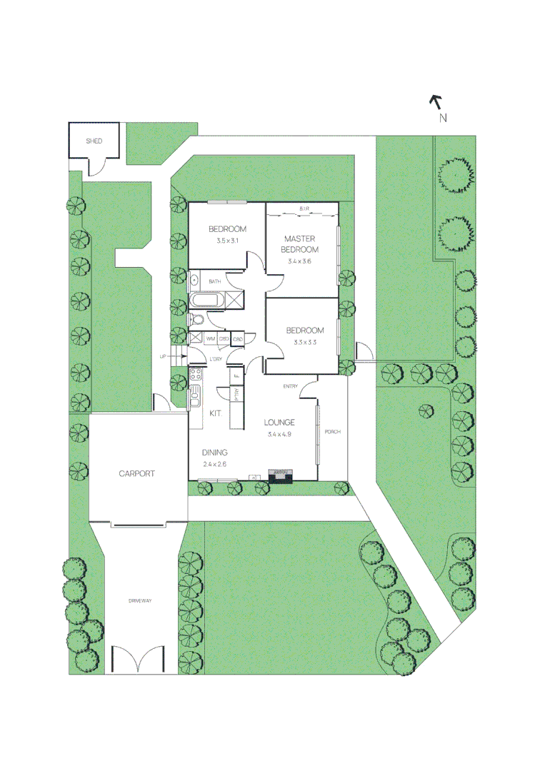 Image 12