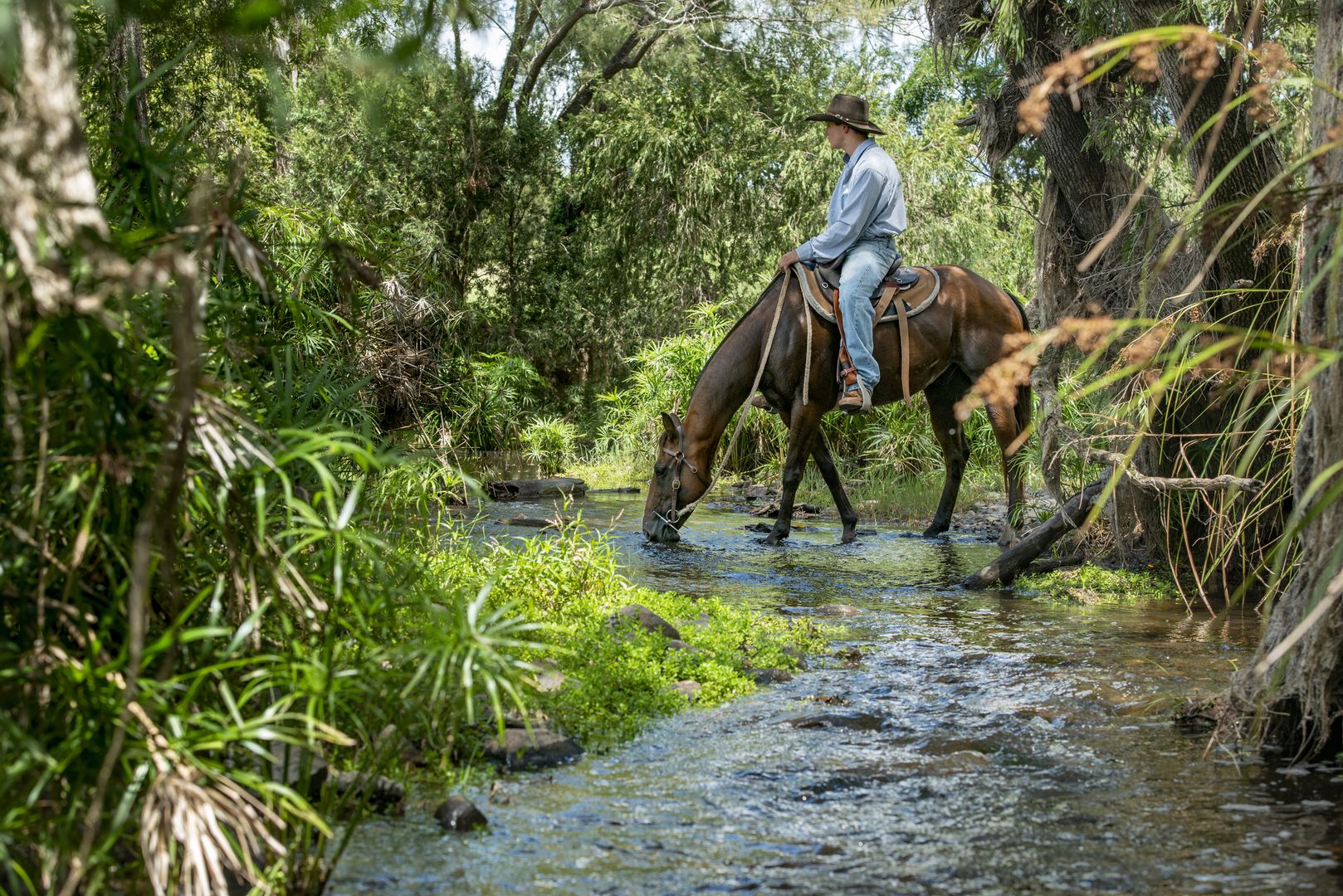 'Lagoona' Reid Road, Widgee QLD 4570, Image 1