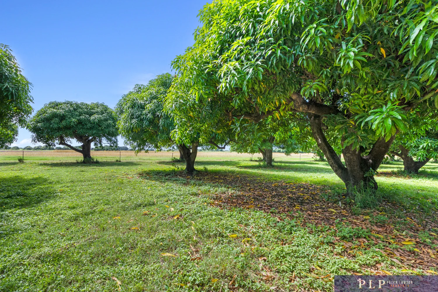 Additional image 35 of 75 Taloonda Road, Bowen QLD 4805