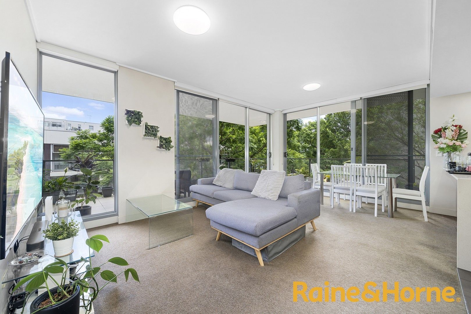 204/2 Lewis Avenue, Rhodes NSW 2138, Image 0