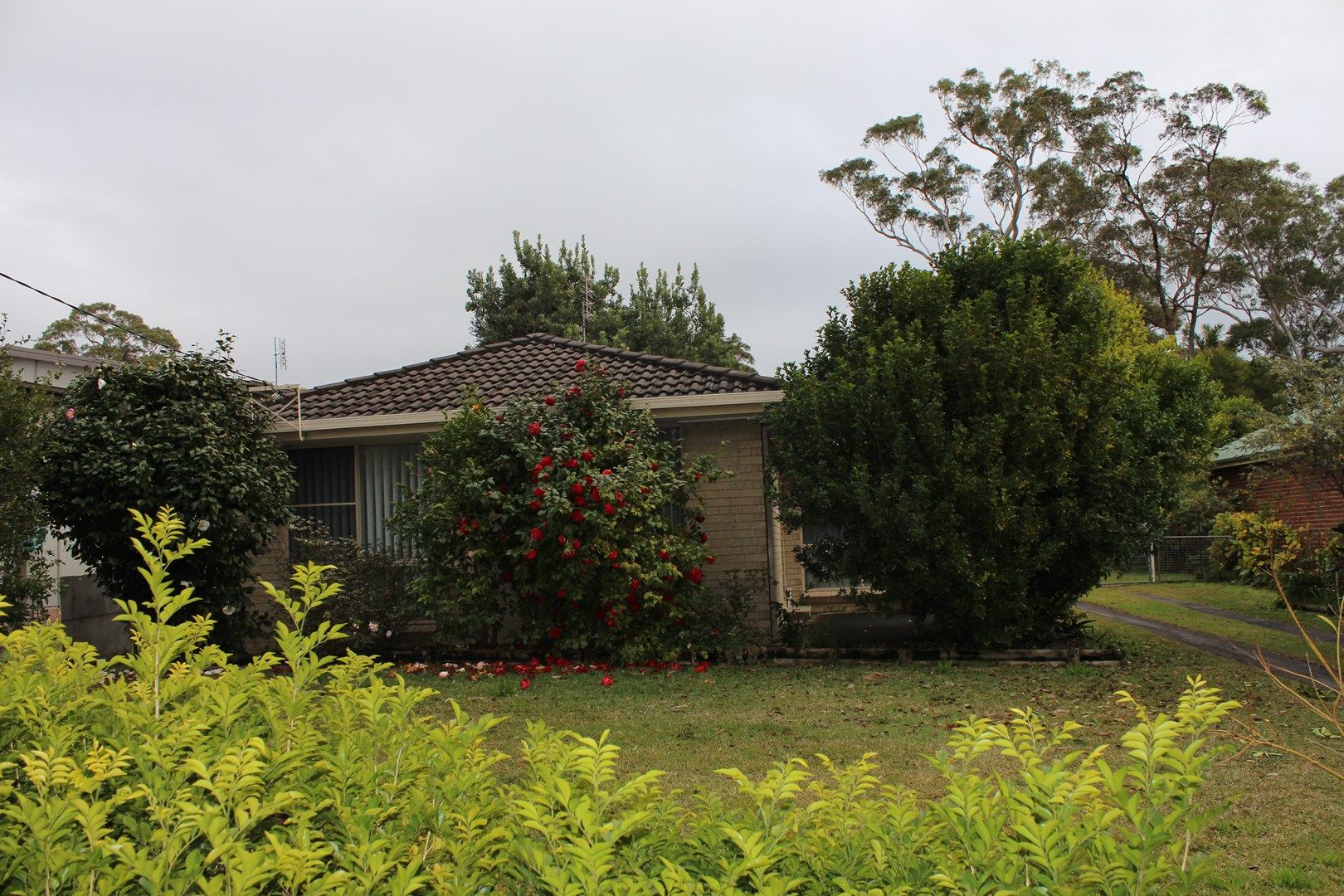 Basin View NSW 2540, Image 0