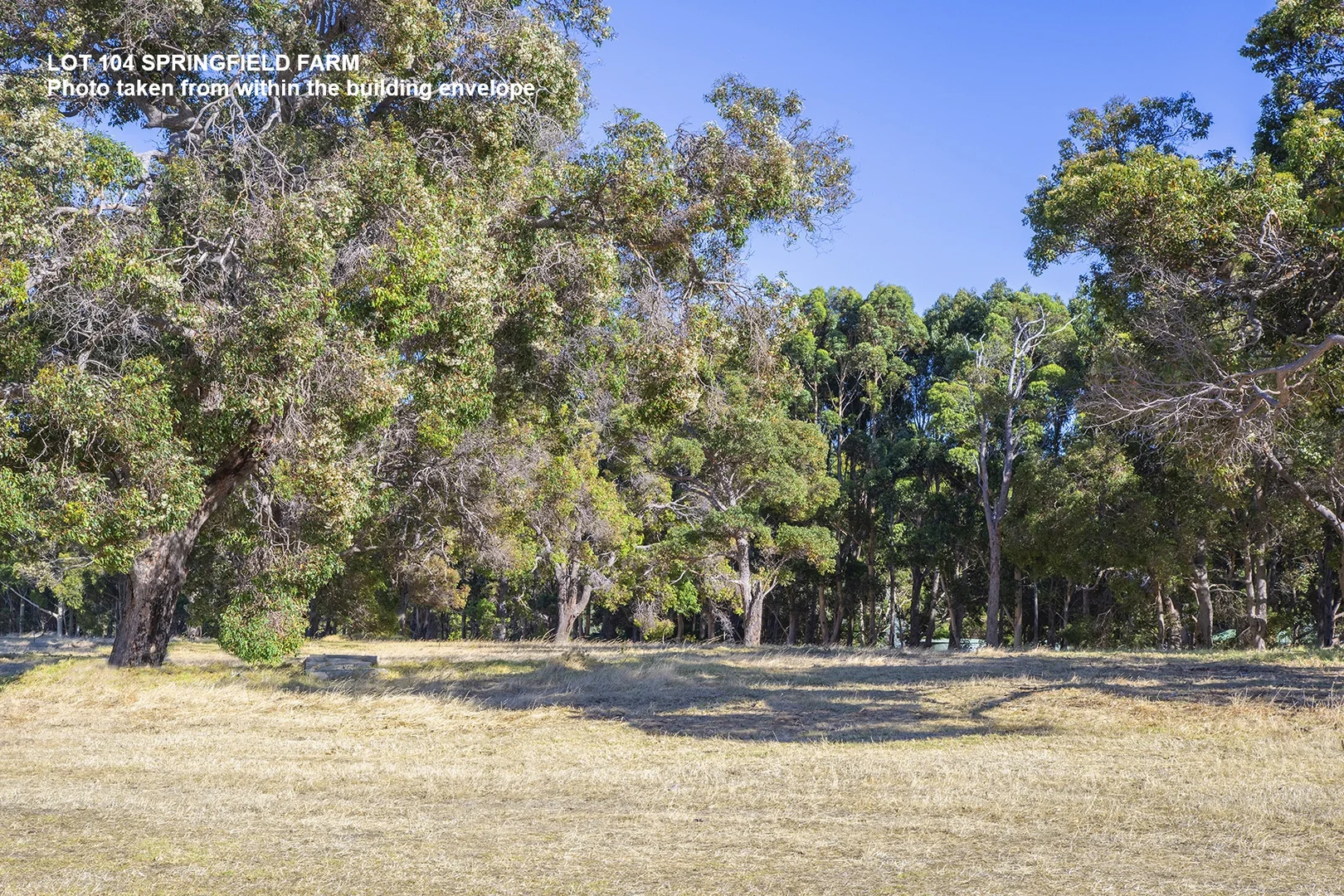 Additional image 3 of Lot 104 Springfield Farm, Yallingup WA 6282