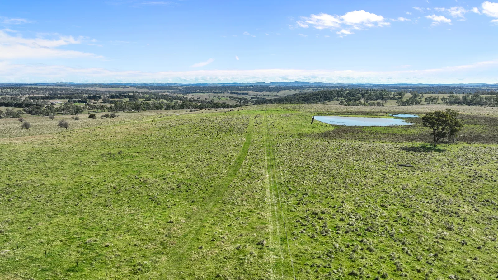 Additional image 12 of "Wyanga" 195 Gills Road, Uralla NSW 2358