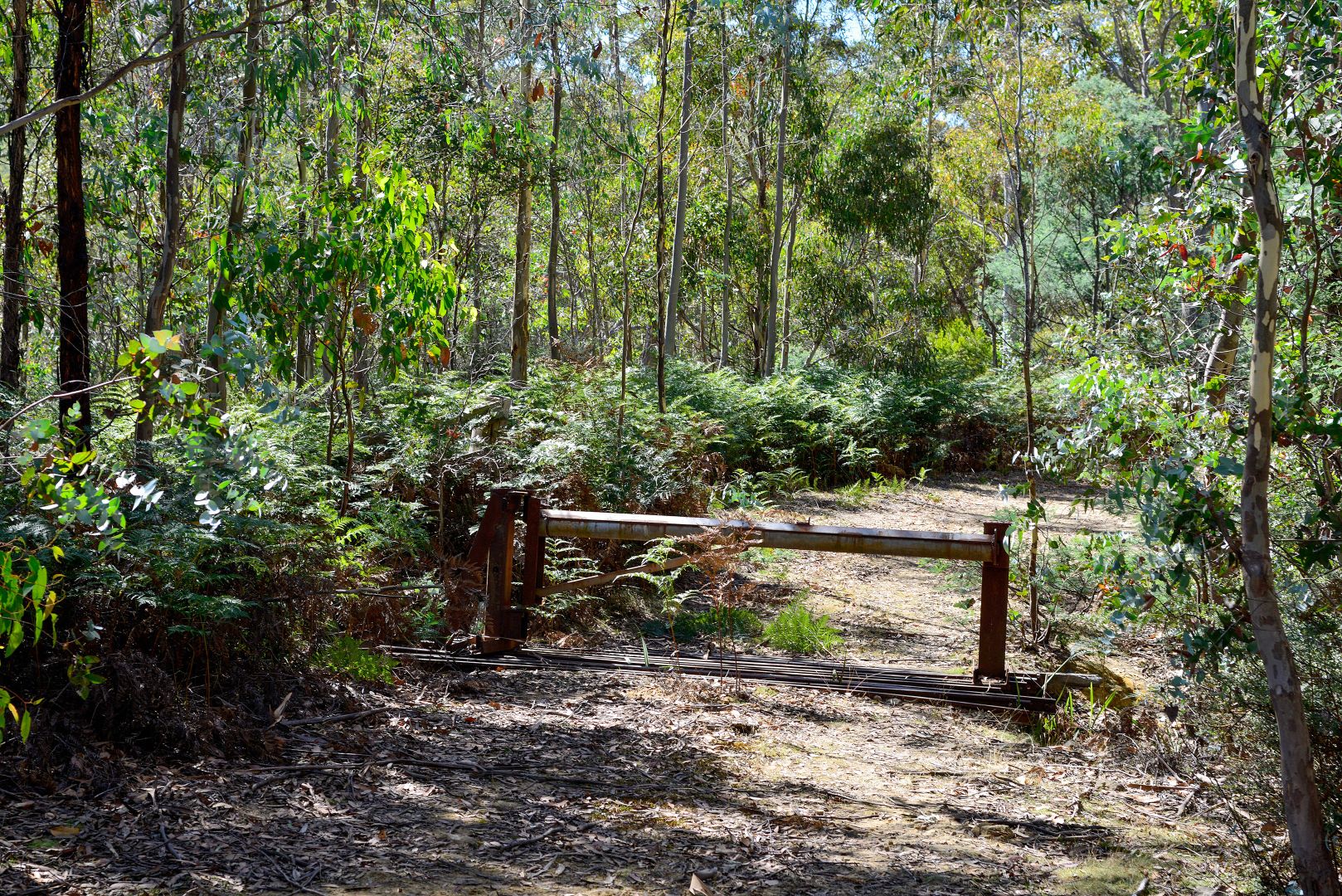 Lot 1/668 Back River Road, Magra TAS 7140, Image 1