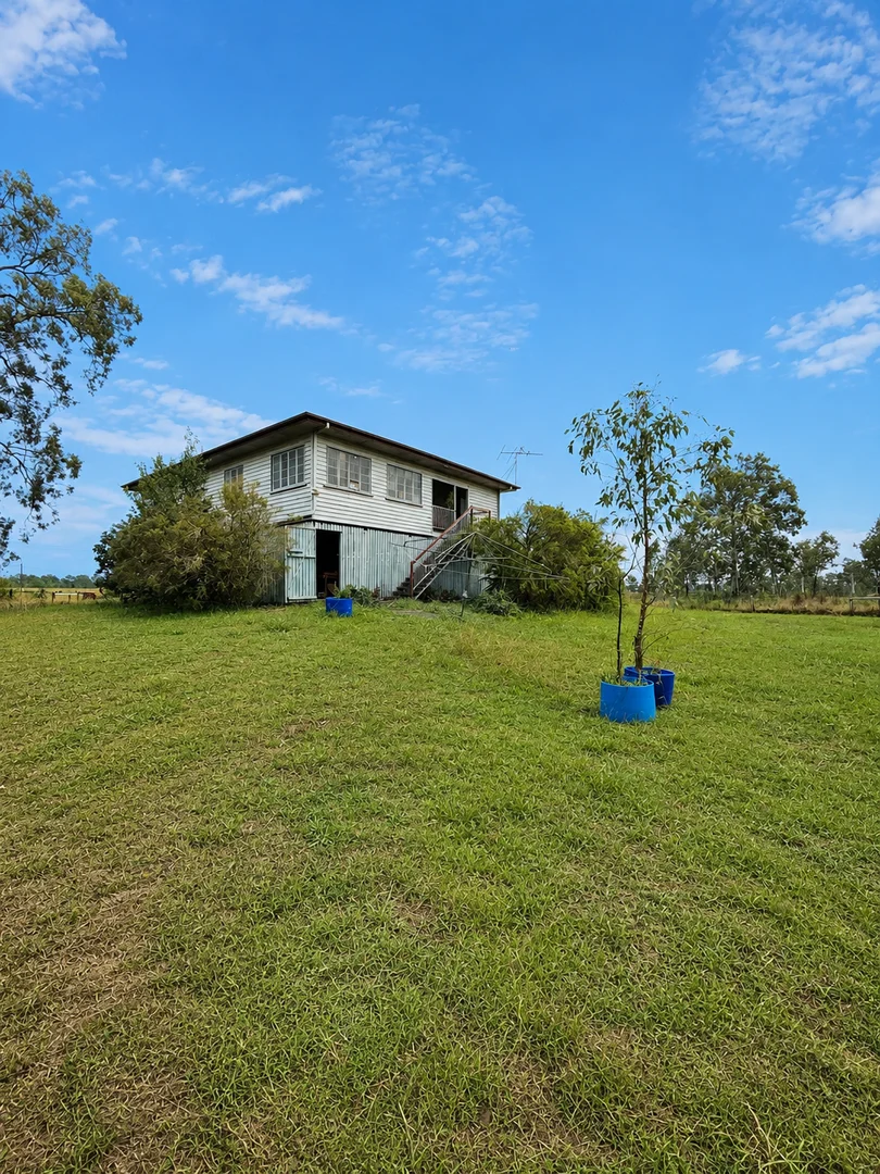Image 10