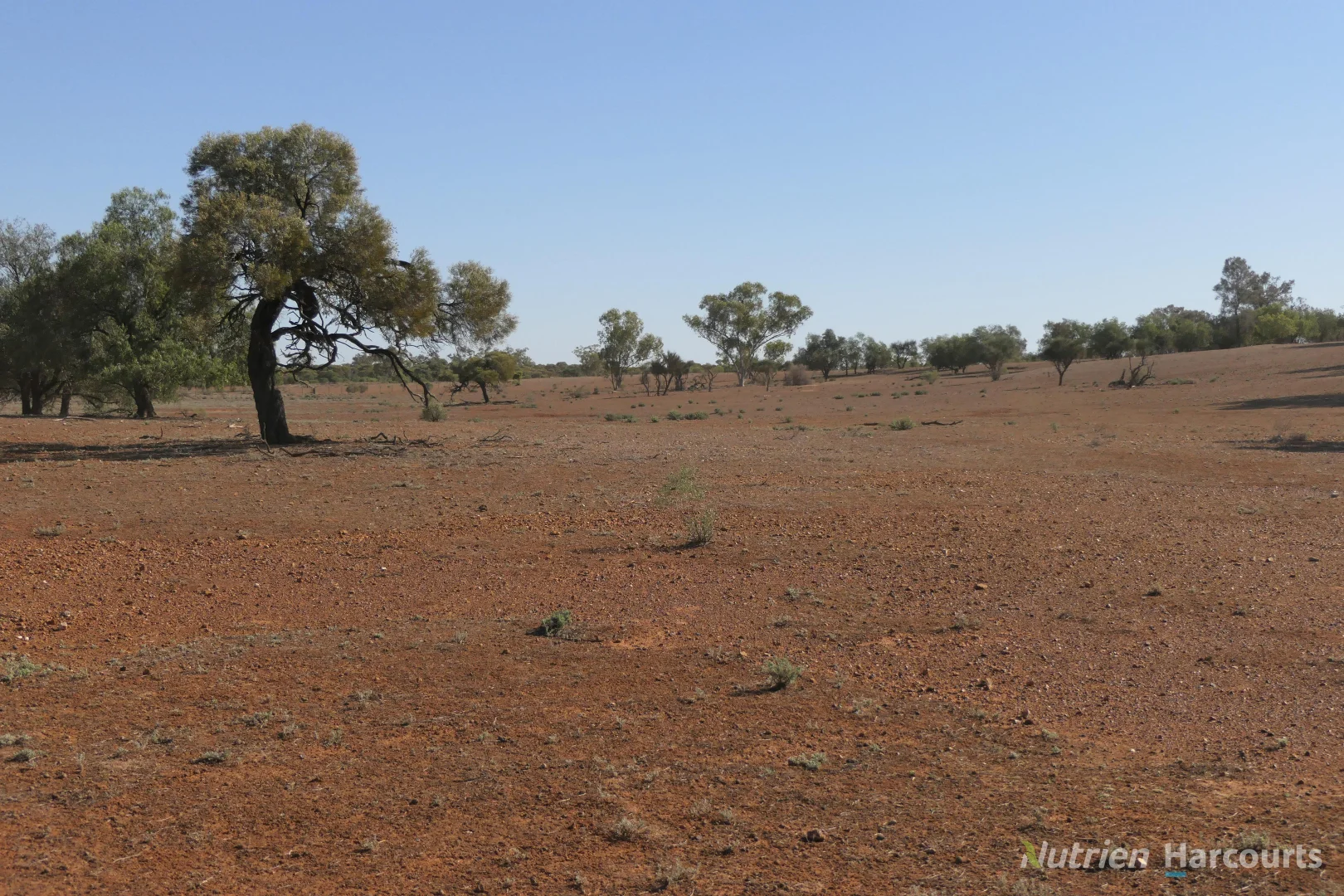 Additional image 12 of 27 Singleton Drive, Cobar NSW 2835