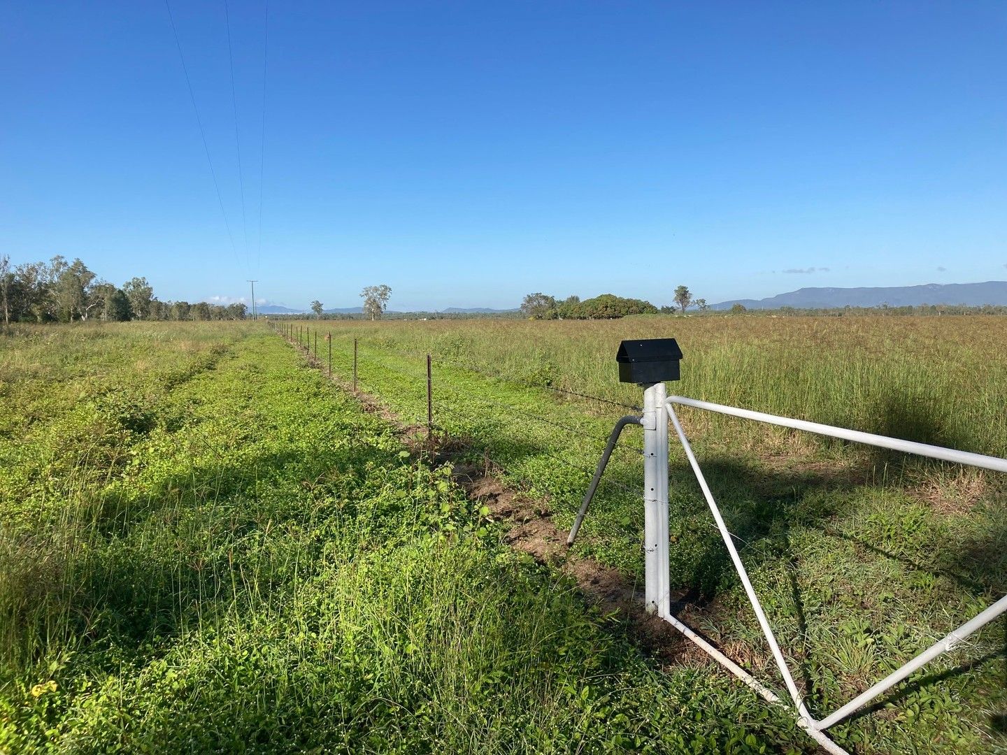 LOT 7 b Road, Majors Creek QLD 4816 Specialist Farm for Sale