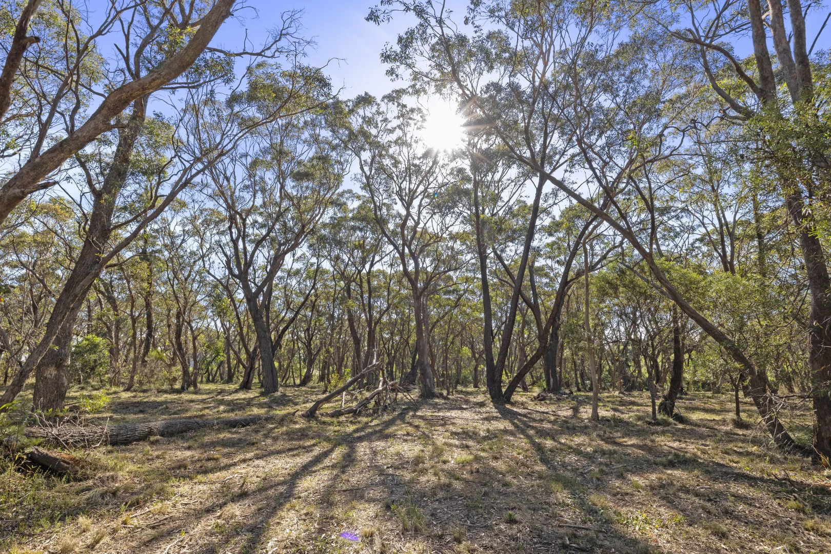 Image 11