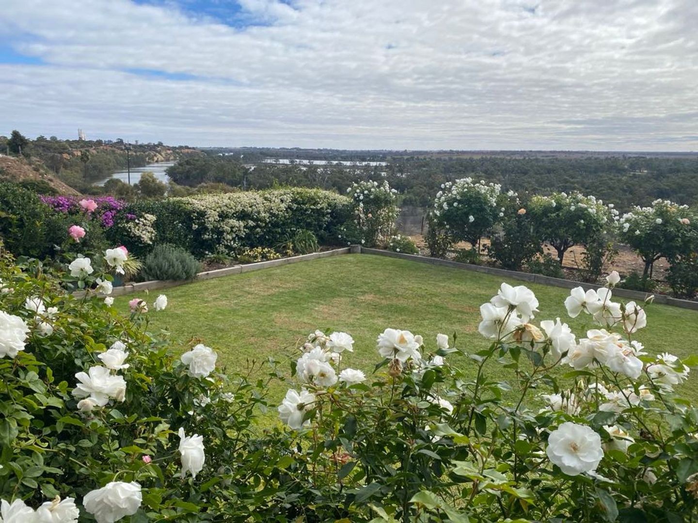 12911 Sturt Highway, Waikerie SA 5330, Image 1