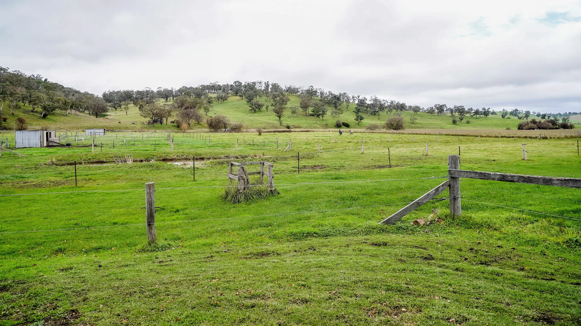 Image 31