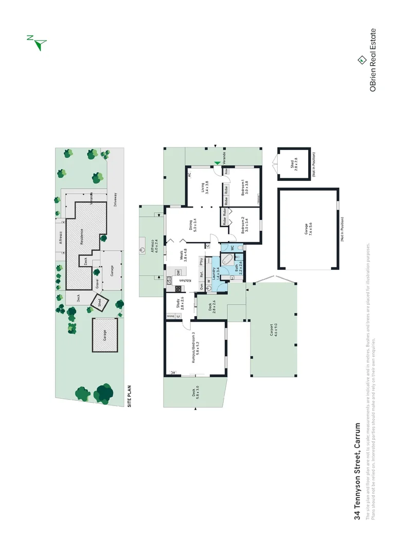 Image 12