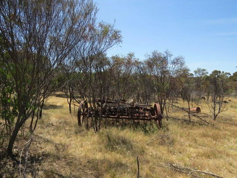 Image 18