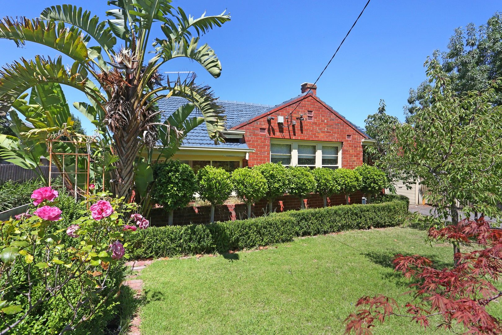 1/31 James Street, Heidelberg Heights VIC 3081 Apartment For Rent