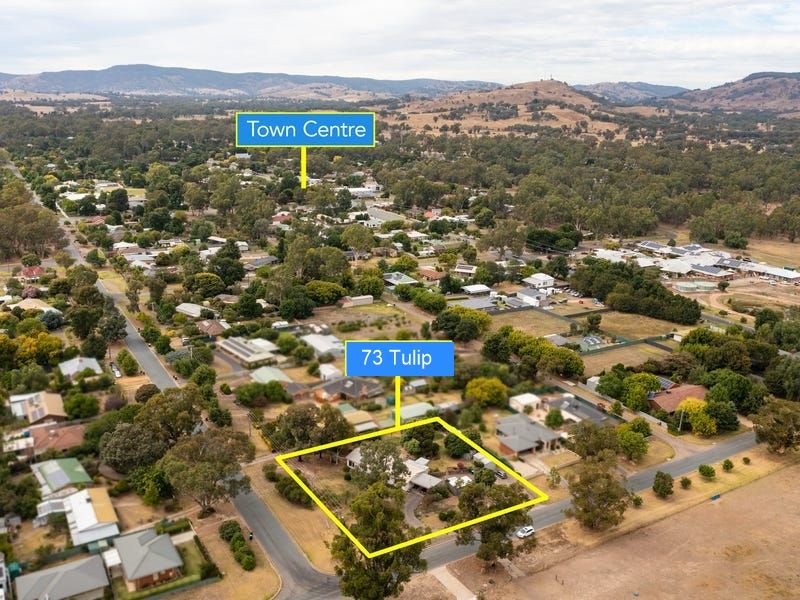 73 Tulip Street, Violet Town VIC 3669 Domain