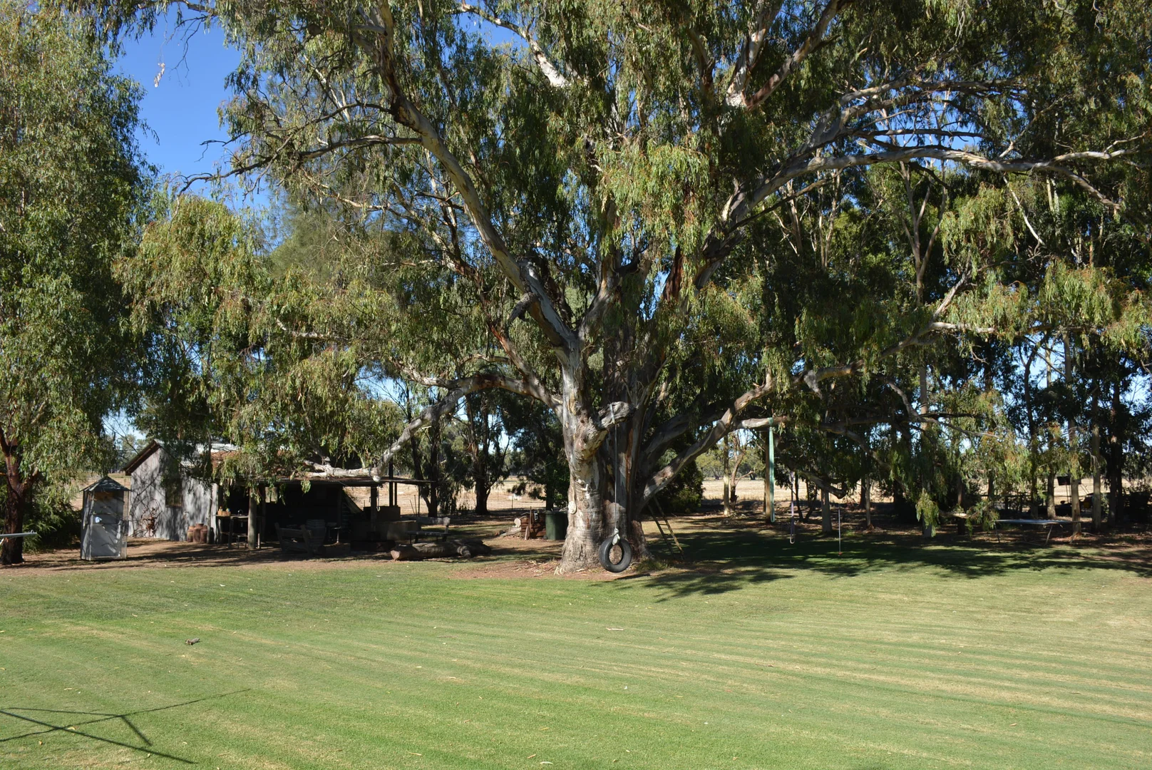 Image 17