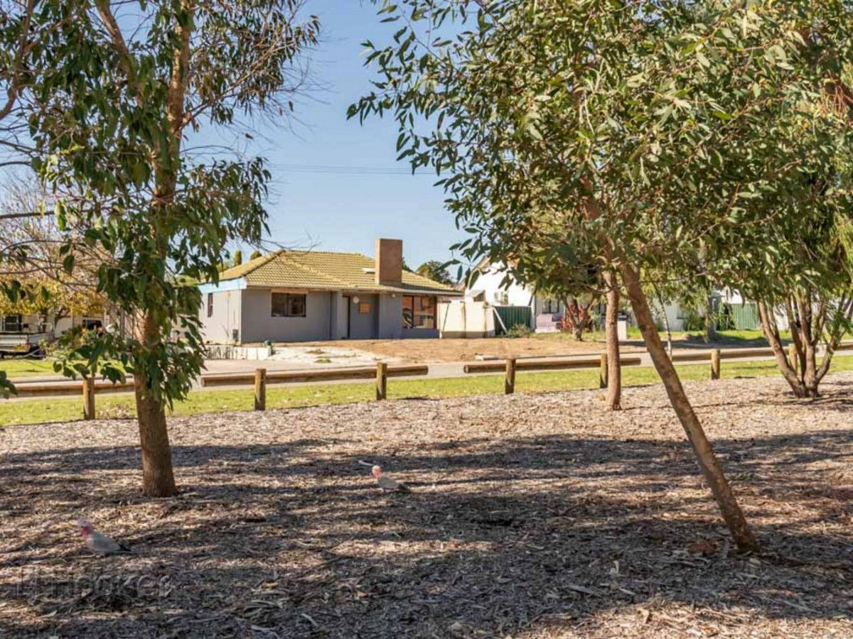 12 Newick Street, Balga WA 6061, Image 2