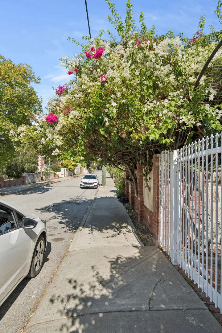 Image 15