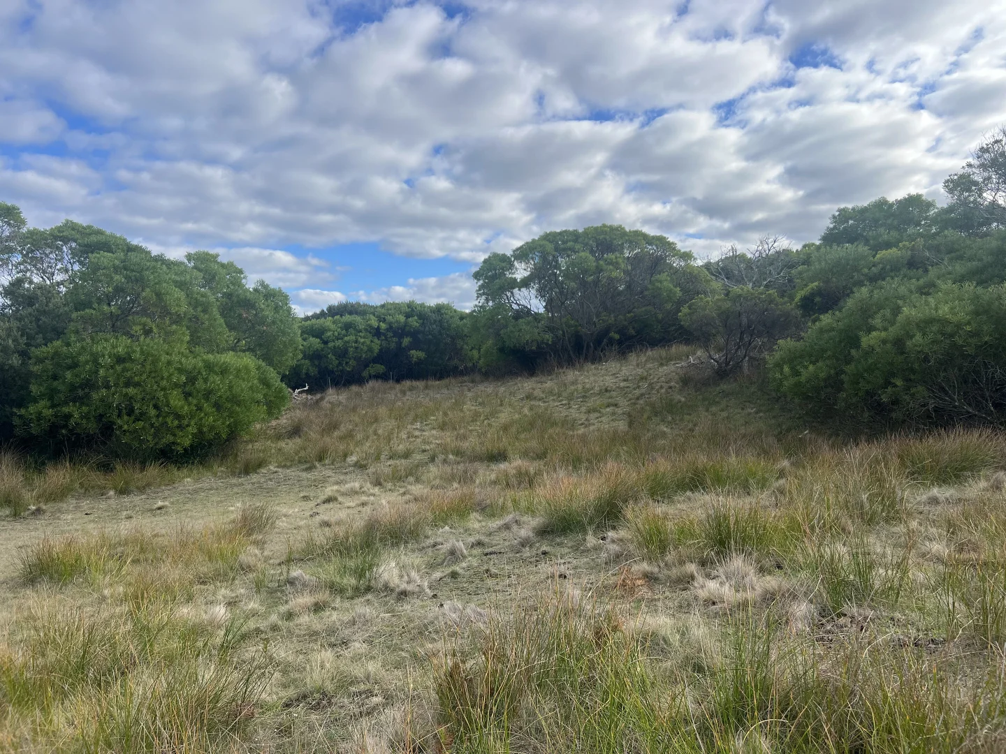 Additional image 15 of 274 South Road, Nugara TAS 7256