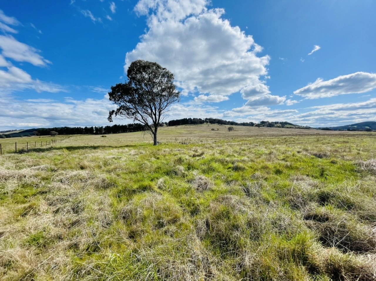 850 Table Top Road, Walcha NSW 2354 House for Sale 1,350,000