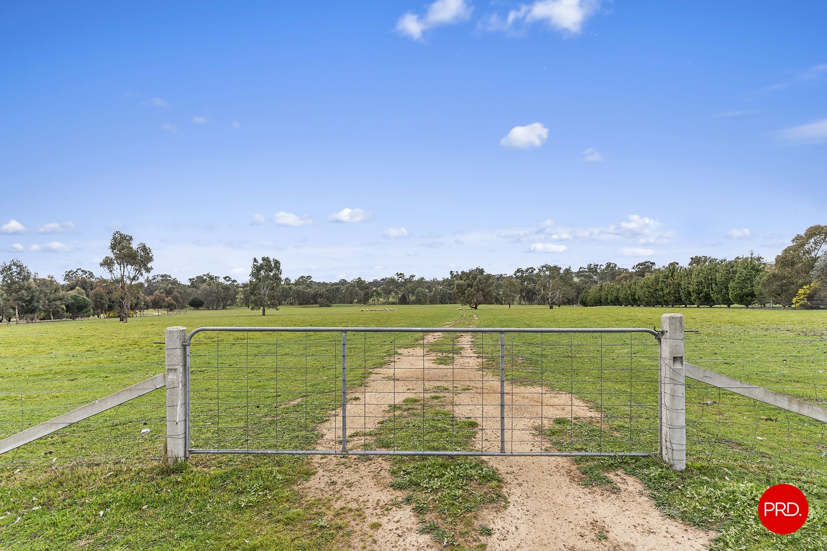 174 Sunrise Crescent, Lockwood South VIC 3551, Image 2