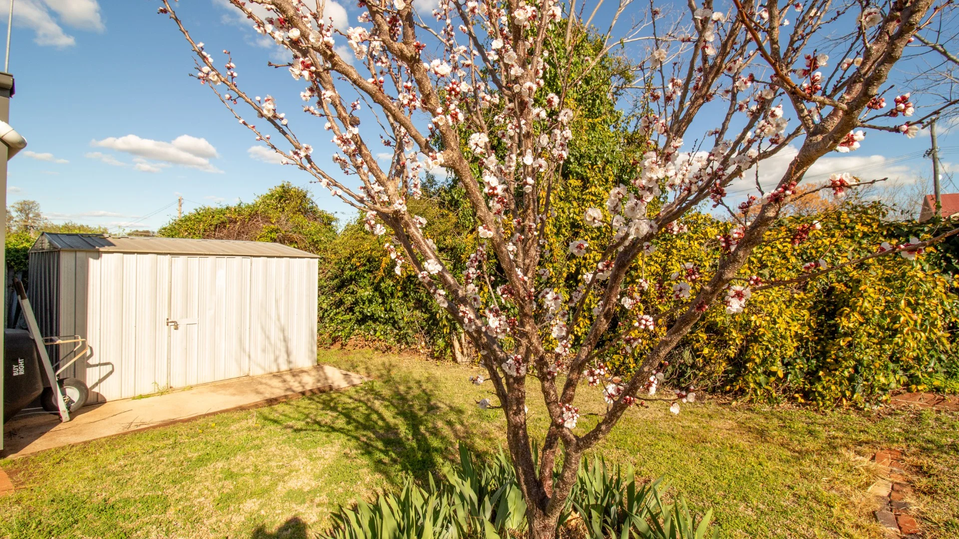 Additional image 27 of 100 Flint Street, Forbes NSW 2871