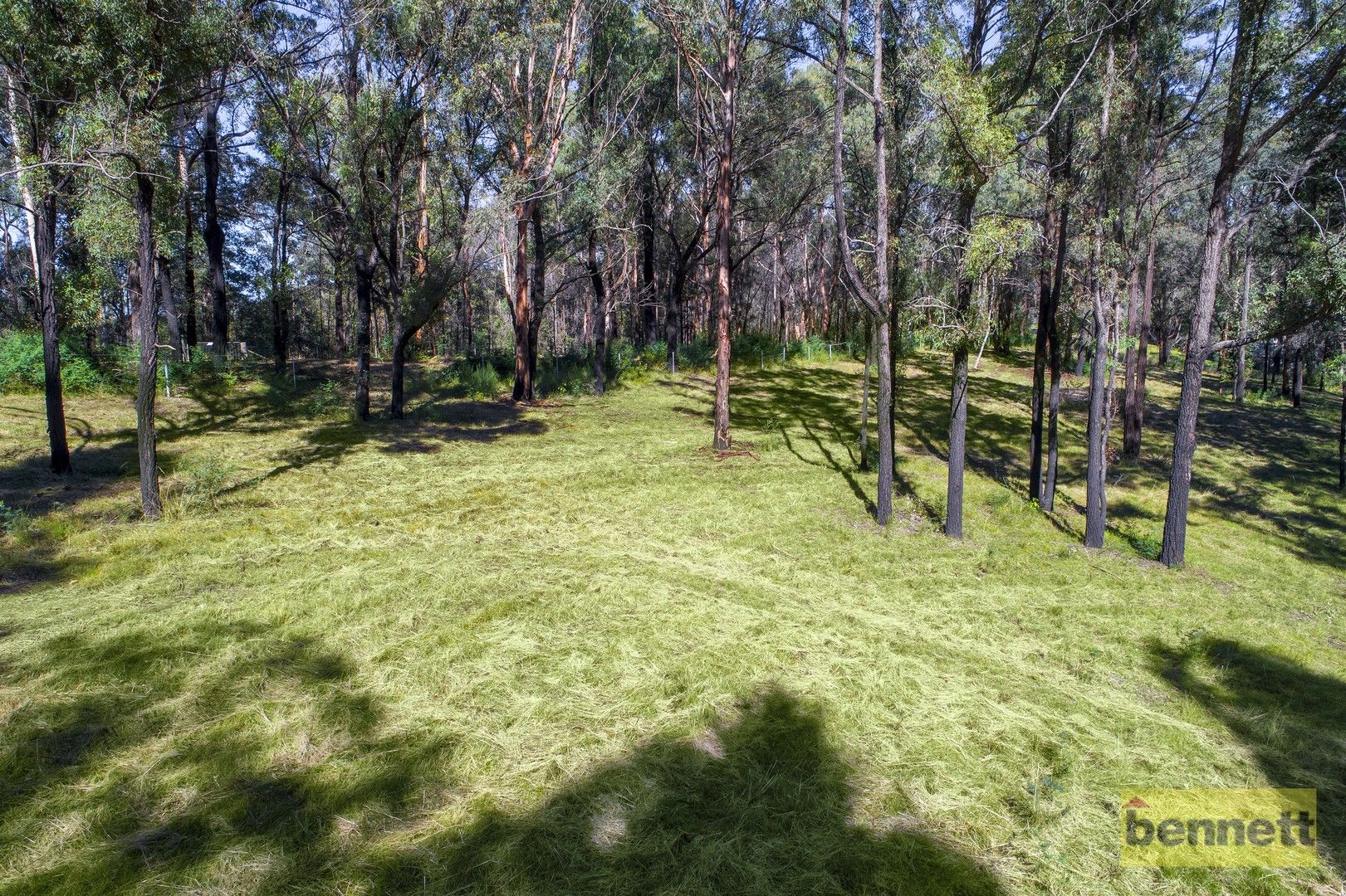 29 Barina Drive, Colo Heights NSW 2756, Image 0