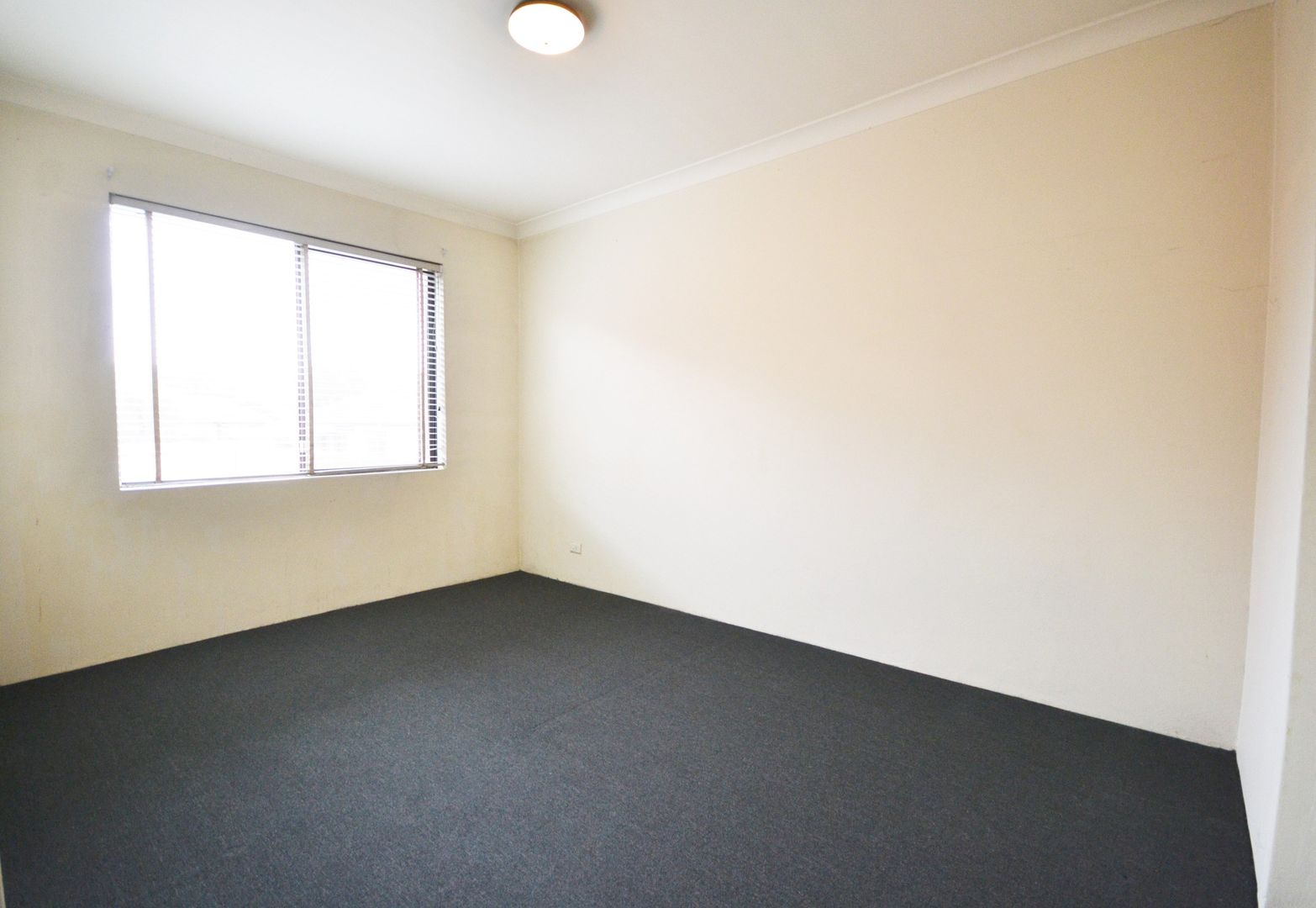 3/103 Victoria Road, Punchbowl NSW 2196, Image 2
