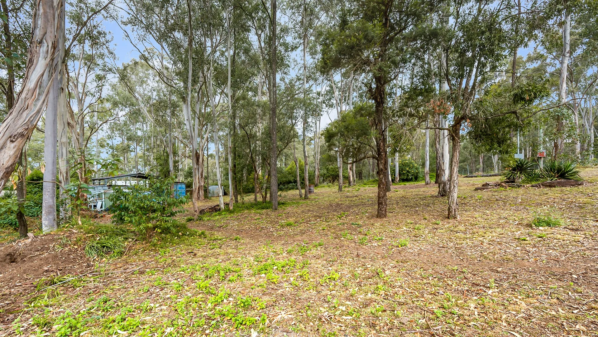 Image 13