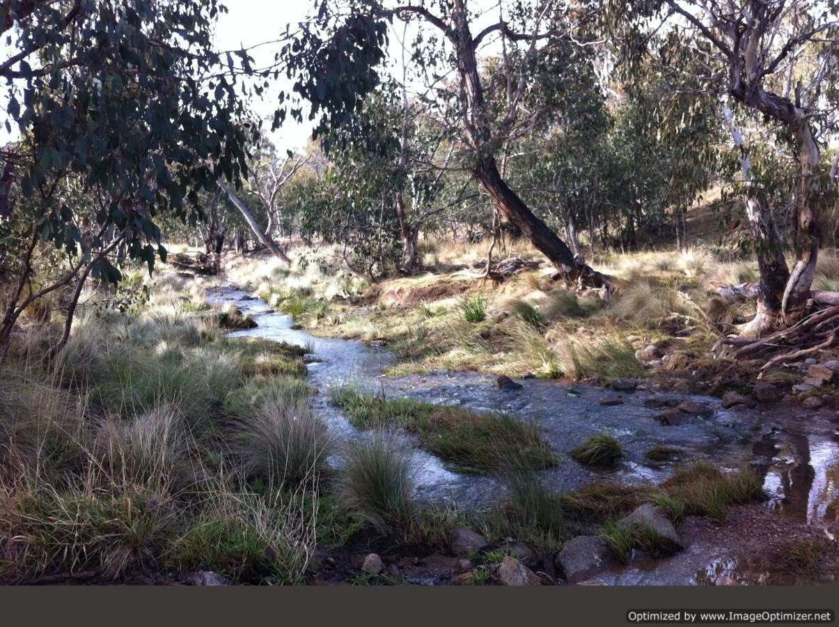 859 Snowy River Road, WULGULMERANG VIC 3885, Image 1