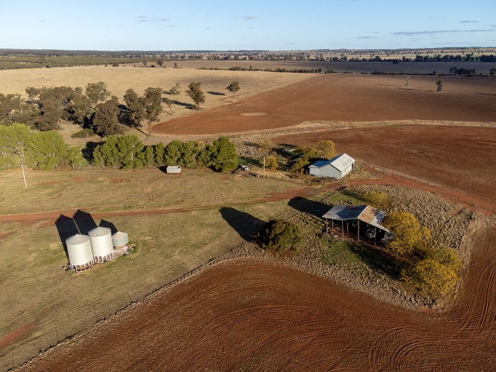 695 Quilties Corner Road, Buddigower, West Wyalong NSW 2671, Image 1