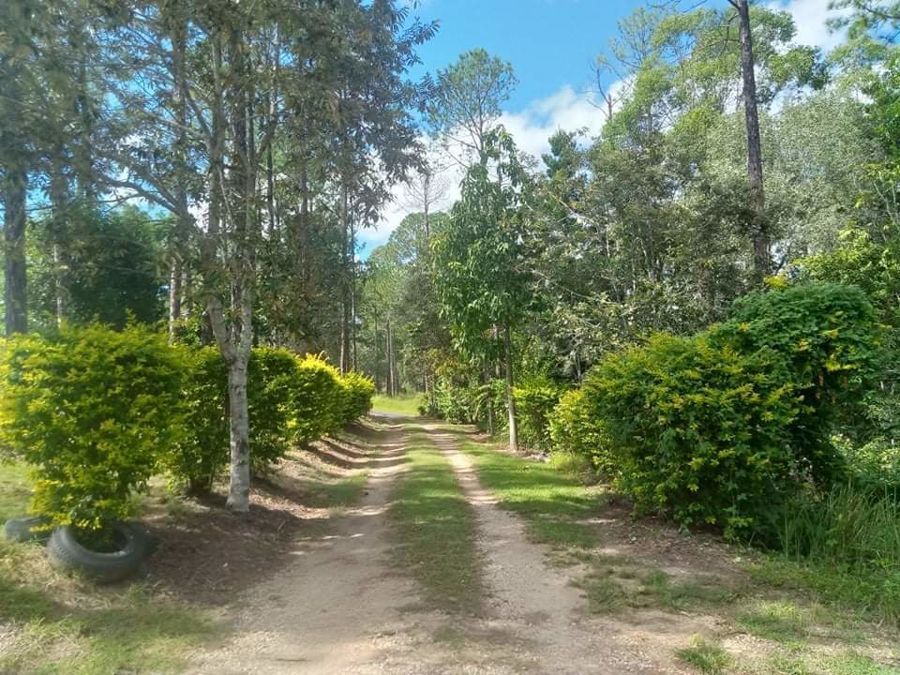 3 bedrooms House in 141 Arborthree Road GLENWOOD QLD, 4570