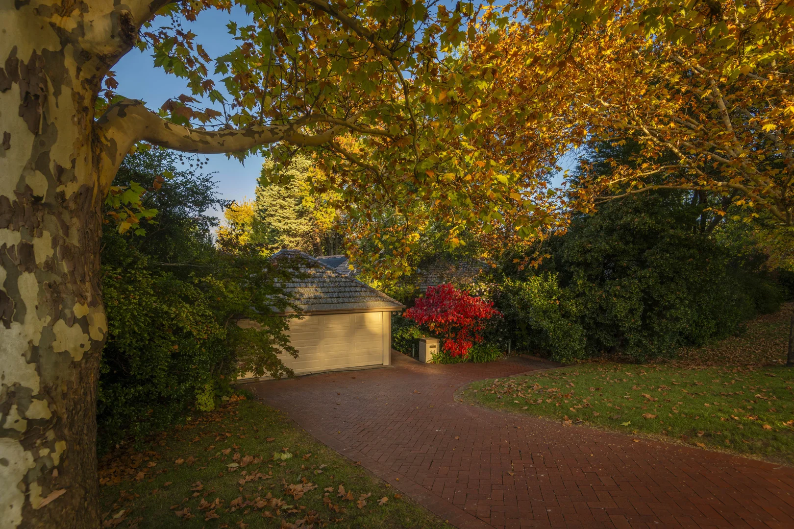 Additional image 26 of 84 Arthur Circle, Forrest ACT 2603