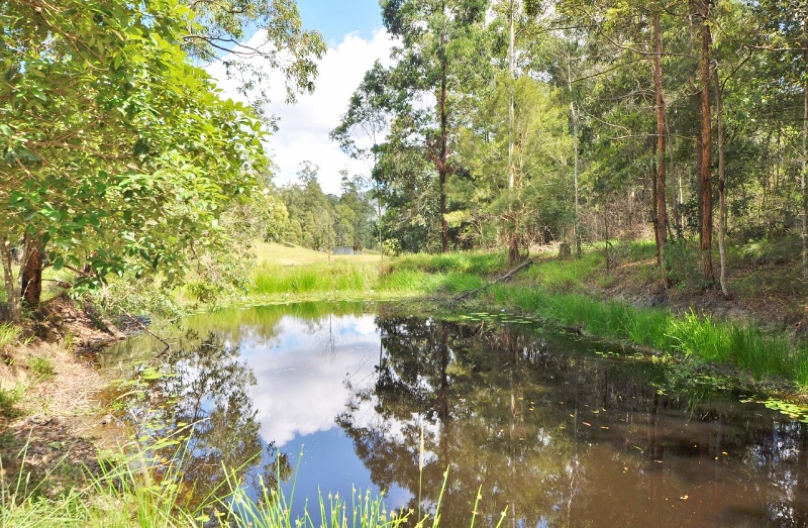 159 McHughs Creek Road, Bowraville NSW 2449, Image 2