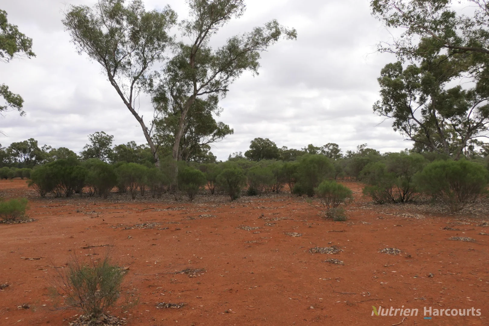 Image 39