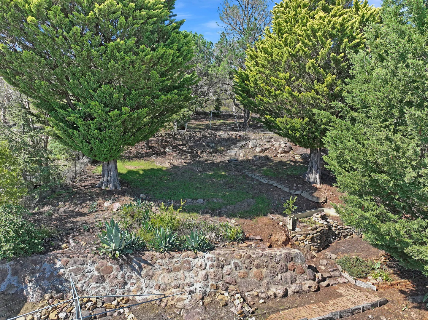 Image 19