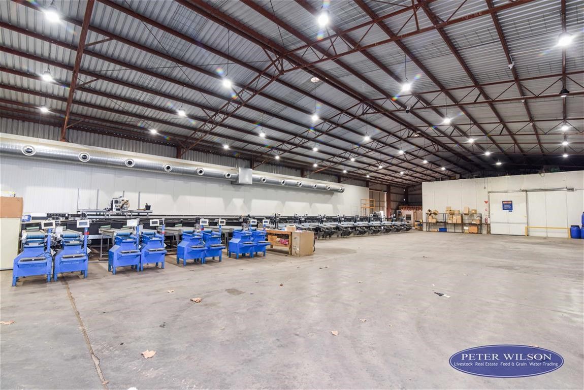 137 Chapel Road, Cobram East VIC 3644 Cropping Property for Sale