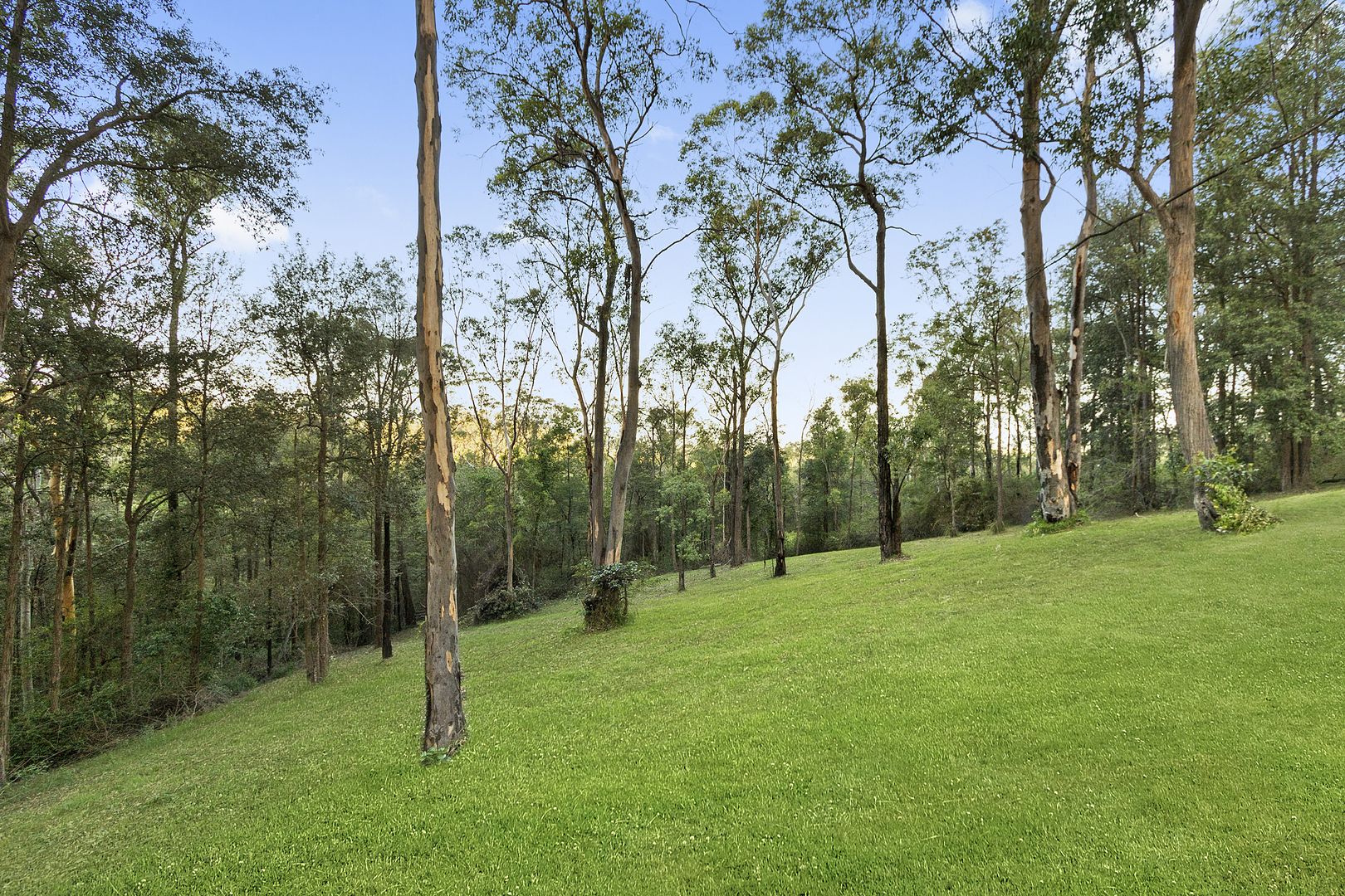 101 Serpentine Lane, Bowen Mountain NSW 2753, Image 2