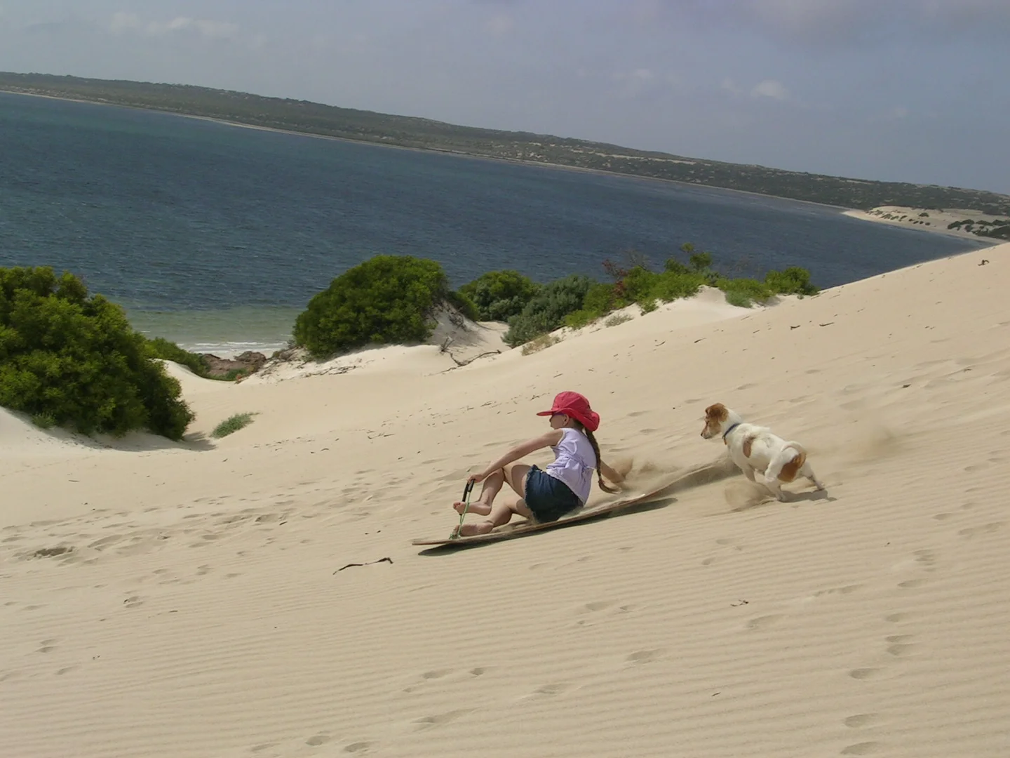 Additional image 14 of Lot 338 South Terrace, Fowlers Bay SA 5690